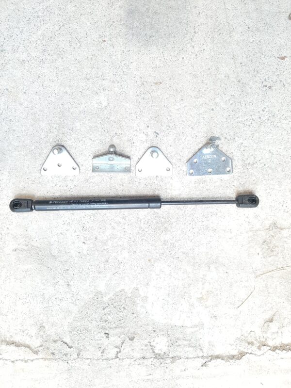 Small Ram Struts